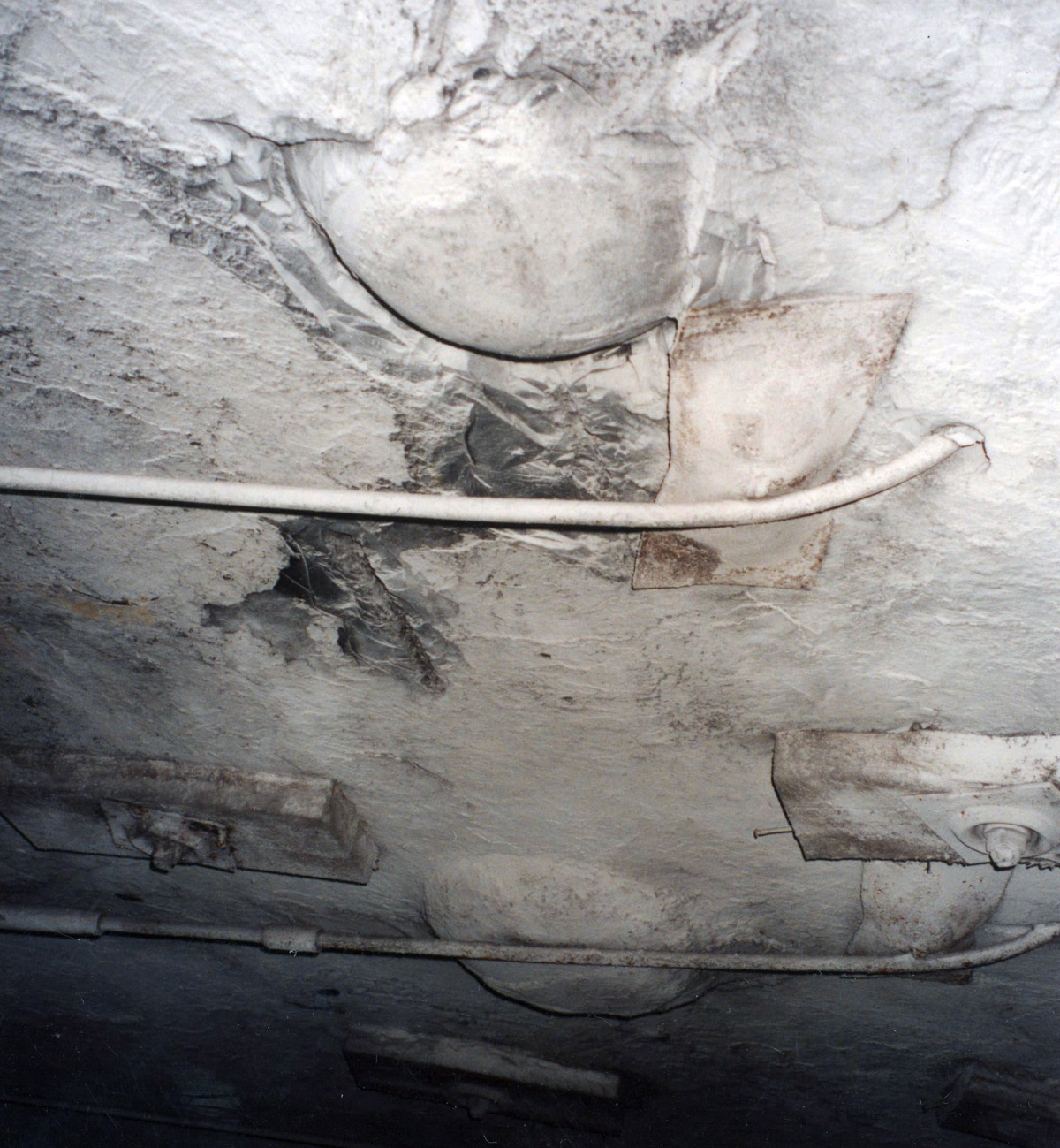Concretions are common in dark gray to black shales, such as the shale above the Springfield coal bed in western Kentucky.